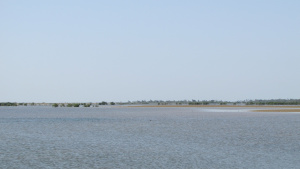 De brede rivier Casamance